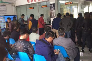 转发扩散！不要扎堆去窗口排队处理交通违法！