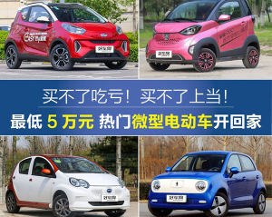 最低5万元 热门微型电动车开回家