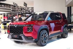 硬派SUV的后浪们 盘点近期发布的自主硬派SUV