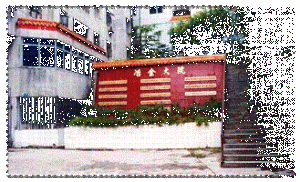 先行者比亚迪：敢闯敢创，成就梦想