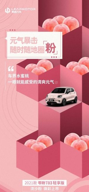用实力圈粉 2021款 零跑T03 焕彩上市