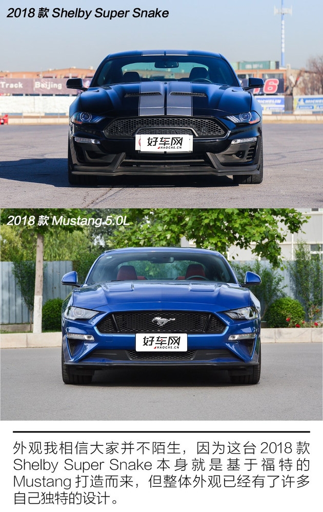 700匹马力的高性能野马 试驾谢尔比Super Snake