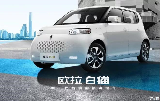 取名“白猫”，长城动物园车系第二款车型公布