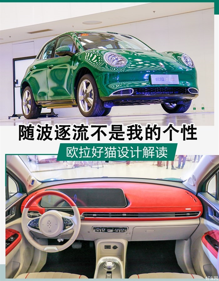 随波逐流不是我的个性 欧拉好猫设计解读