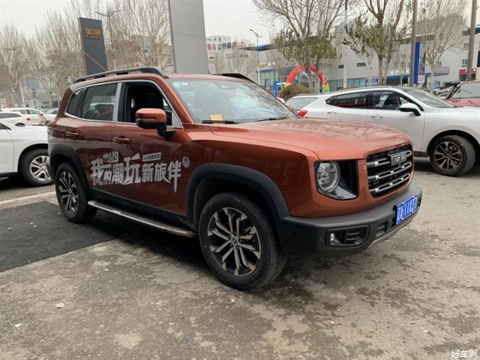 潮玩大狗，全城开溜