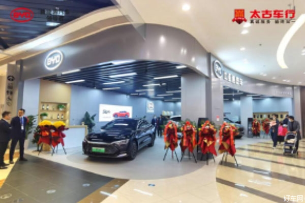 热烈祝贺 比亚迪太古永旺梦乐城店开业大吉！