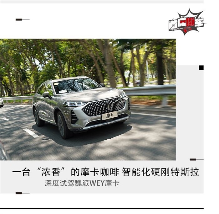 比肩特斯拉的智能驾驶 试驾WEY摩卡