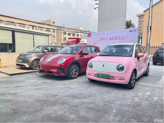 “三喵”流量记 余姚东江欧拉“喵星探店记”